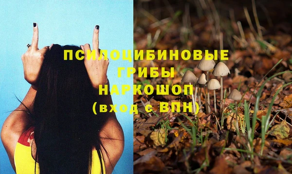 apvp Алексеевка
