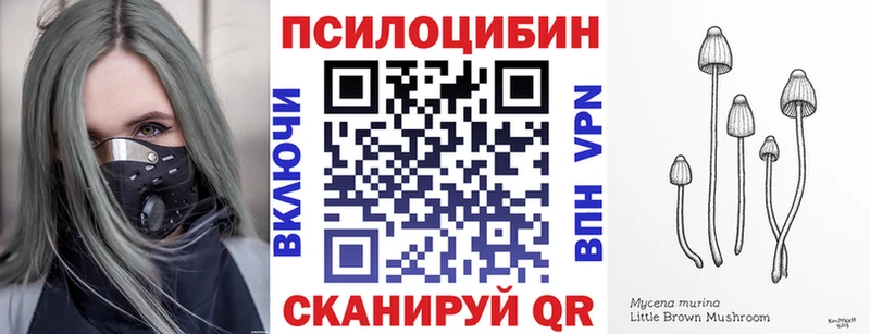 Псилоцибиновые грибы Magic Shrooms  Лабинск 